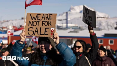 Trump aide Stephen Miller says no-one would fight US over Greenland