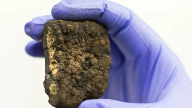 Trump is steamrolling global calls for a moratorium on deep-sea mining