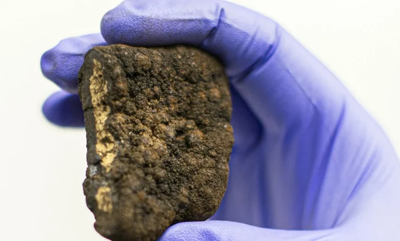 Trump is steamrolling global calls for a moratorium on deep-sea mining