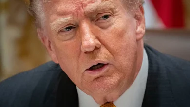 Trump moves to shape narrative of fatal ICE shooting as outrage mounts