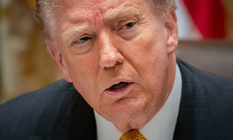 Trump moves to shape narrative of fatal ICE shooting as outrage mounts