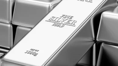 Trump puts silver, other critical minerals tariffs on hold | articles