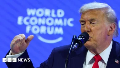 Trump wants 'immediate negotiations' to acquire Greenland but insists he 'won't use force'