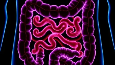 Tucatinib-Trastuzumab Effective for HER2+ Metastatic Colorectal Cancer