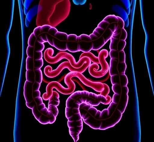 Tucatinib-Trastuzumab Effective for HER2+ Metastatic Colorectal Cancer