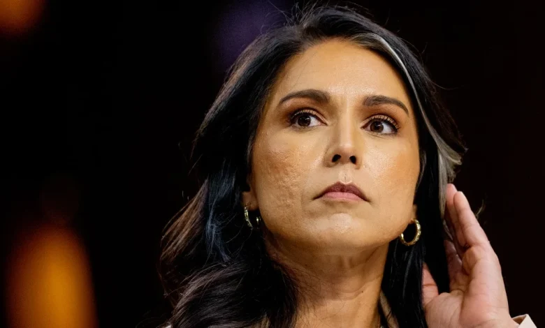 Tulsi Gabbard under scrutiny for showing up at FBI raid of Georgia election hub