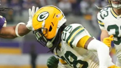 Two Newcomers Will Play Critical Roles for Packers in Playoffs