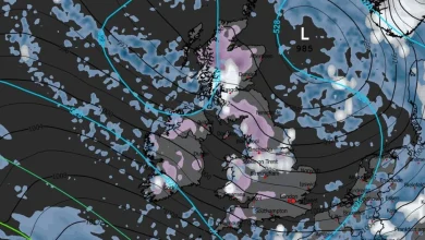 UK snow maps turn purple in warning huge blizzard set to hit Britain this month