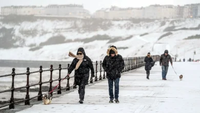 UK weather: Lows of -12C possible as snow showers move south