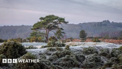 UK weather: snow and ice warnings in force as Arctic air sweeps in for new year