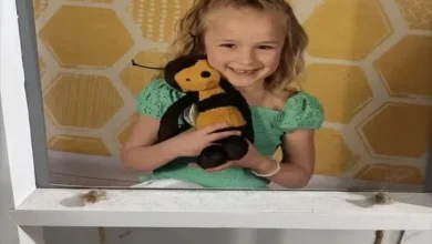 UPDATE: Child at the Center of Wednesday Night AMBER Alert Found Safe