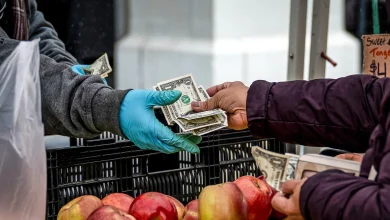 U.S. dollar plunges after Trump says he's not concerned about recent drop