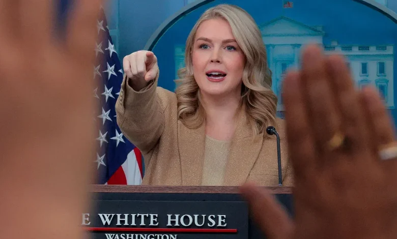 US used sonic weapon on Venezuelan troops, report shared by Leavitt claims