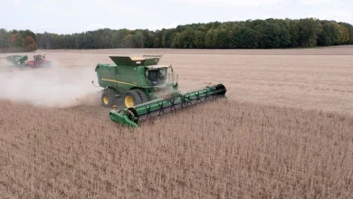 USDA details $12 billion farm aid package favoring rice, cotton; soy farmers warn of strain