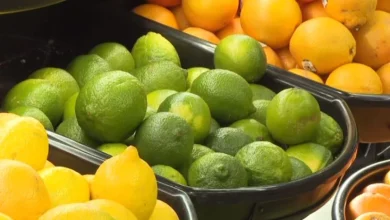 UVic grad’s app helps people hunt for grocery deals