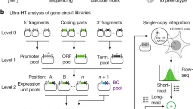 Ultra-high-throughput mapping of genetic design space
