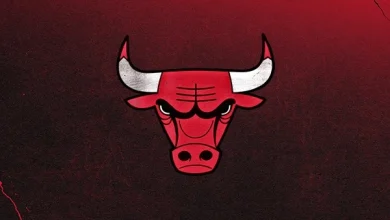 Update: Bulls-Heat Postponed - NBA