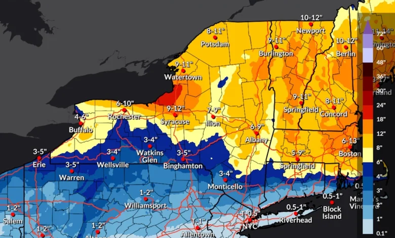 Updated winter storm warning: 4-8 inches of additional snow for Central NY