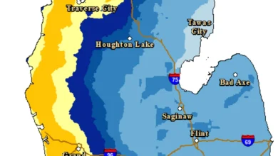 Upgrade to Winter Storm Warning, near-blizzard conditions expected for 23 Michigan counties