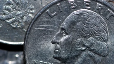 Valuable state quarters: 8 coins worth up to $4,300 in your pocket change