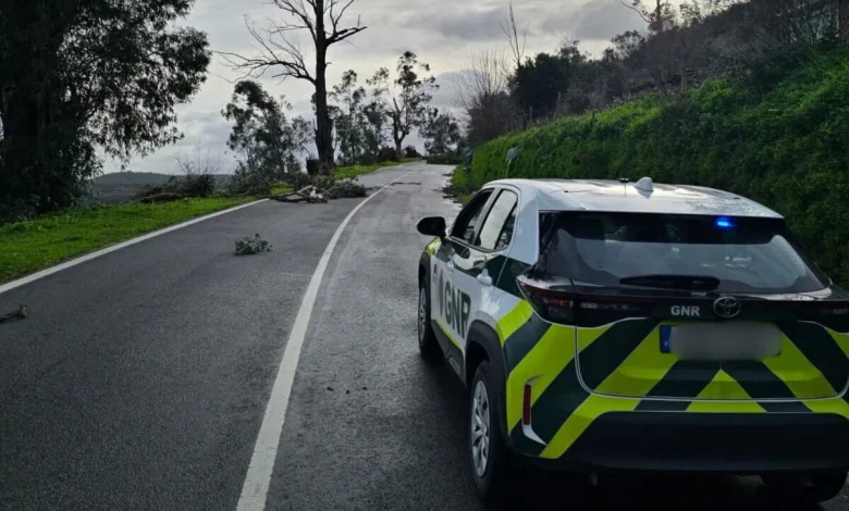 Várias estradas interditas ou condicionadas no distrito de Portalegre devido ao mau tempo