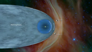Voyager and the heliopause: Exploring where the Sun gives way to the stars