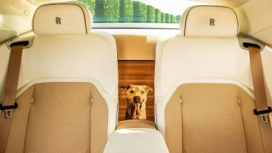 Want your Rolls Royce to match your pet Labrador? Anything is possible in luxury car customization
