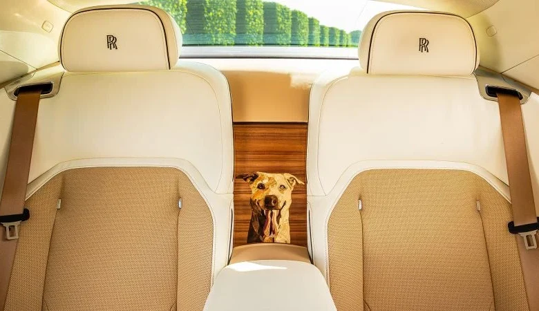 Want your Rolls Royce to match your pet Labrador? Anything is possible in luxury car customization