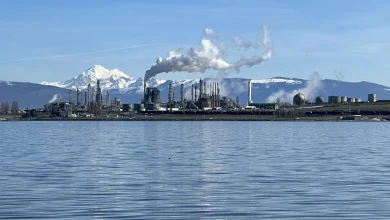 Washington state’s climate-fighting claim is hot air, officials admit