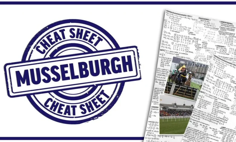 'We like our chances' - race in focus, three horses to note and the best quotes for day one of Musselburgh's trials weekend