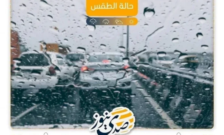 Weather Conditions: Partially Cloudy Weather and Rising Temperatures