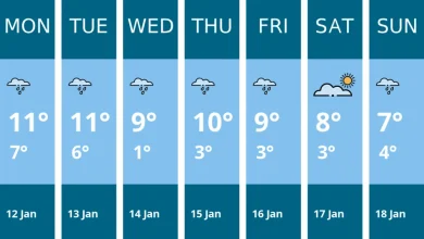 Weather forecast for this week in Wells - 12 Jan to 18 Jan