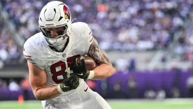 Week 18 NFL DFS TE Breakdown: Top Cash Game and Tournament Picks