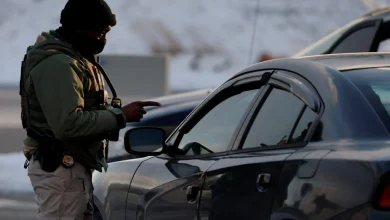 'We're being terrorized.' What Mainers are seeing as ICE launches operation in the state