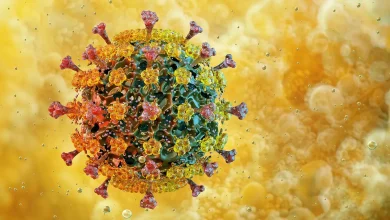 What Happened With Bird Flu in 2025?