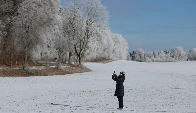 What are ‘exploding trees’? The winter phenomenon may not be what you think