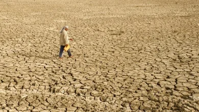 What the US withdrawal from UN bodies could mean for climate, trade and development