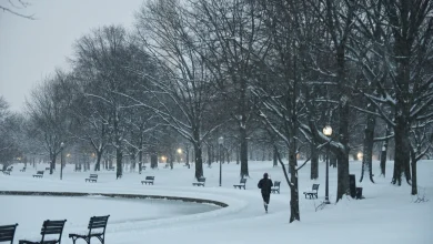 What to know as D.C. area braces for heavy snow, ice and severe cold - The Washington Post