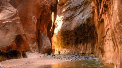 What’s New In The Zion National Park Area For 2026?
