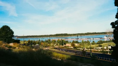 When does spring 2026 begin? Why it feels like it's already in Memphis