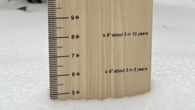 Which places in the DC region got the most snow?