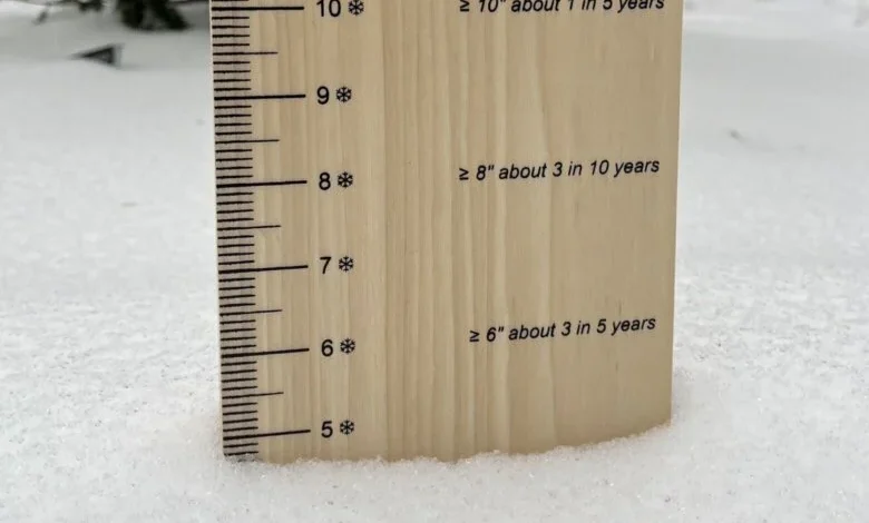 Which places in the DC region got the most snow?