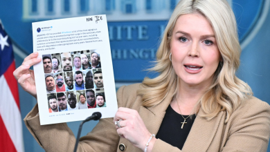 White House Press Secretary Calls Reporter "Left-Wing Hack" Over ICE Question