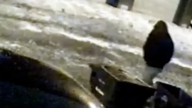 Who is Michael McKee, ex-husband of Monique Tepe charged in her death?