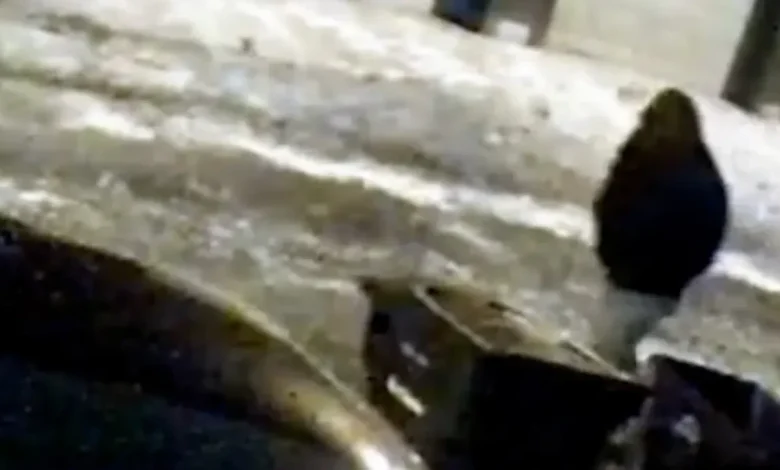 Who is Michael McKee, ex-husband of Monique Tepe charged in her death?