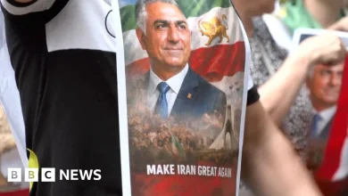 Who is Reza Pahlavi, the son of Iran's last shah?