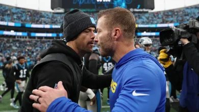 Who will the Panthers play in next weekend's wild-card round?