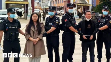 Why China moved so quickly to execute 11 members of a notorious mafia family