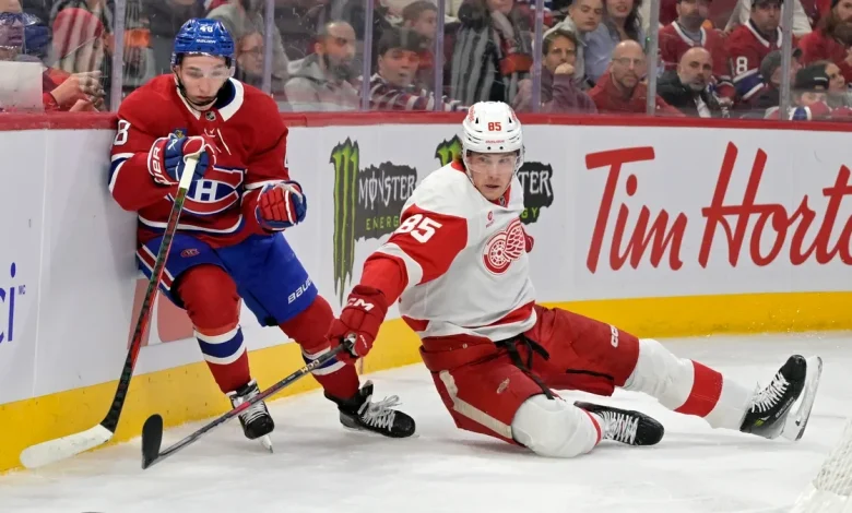 Why Red Wings have so much at stake in next game vs Canadiens