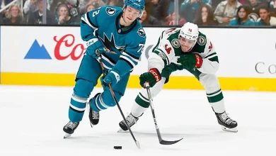 Wild vs. Ducks Prediction, Odds, Picks - Jan. 2